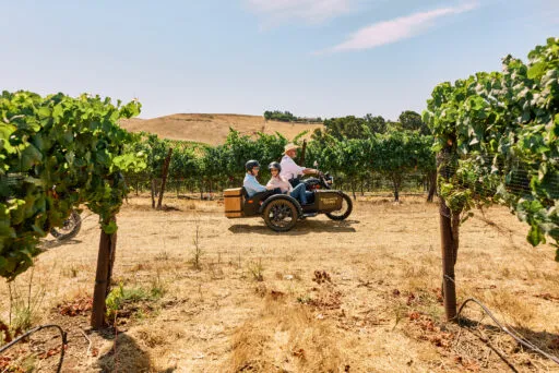 Third Wheel Tours Edna Valley