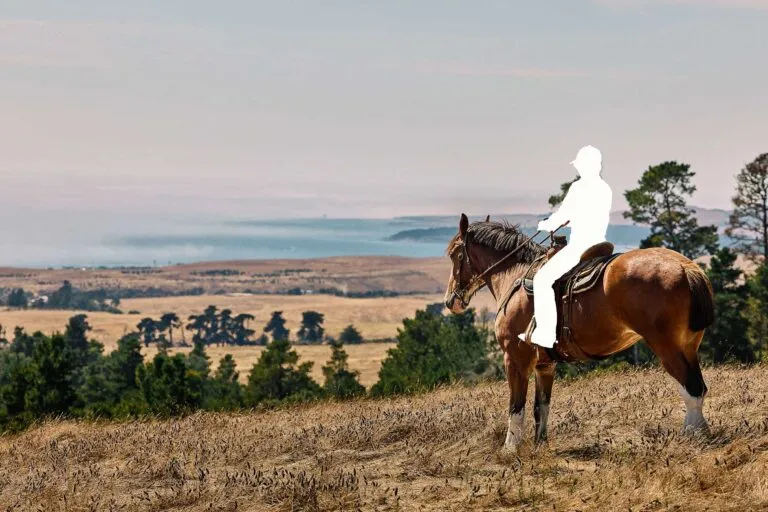 Person on horseback on a hill overlooking the ocean