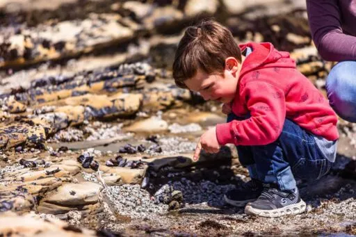 Los Osos Tidepool