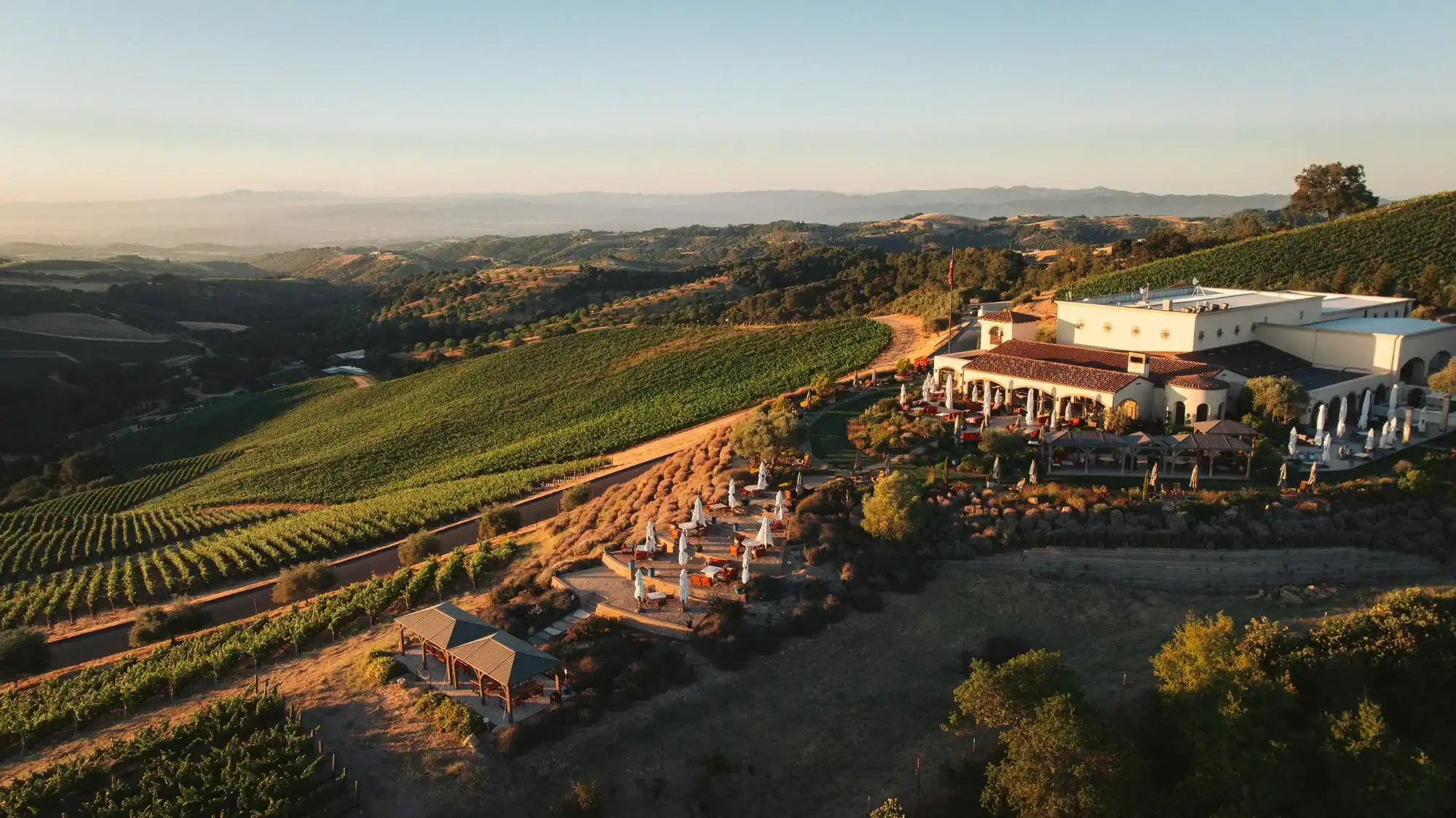 Daou family estates