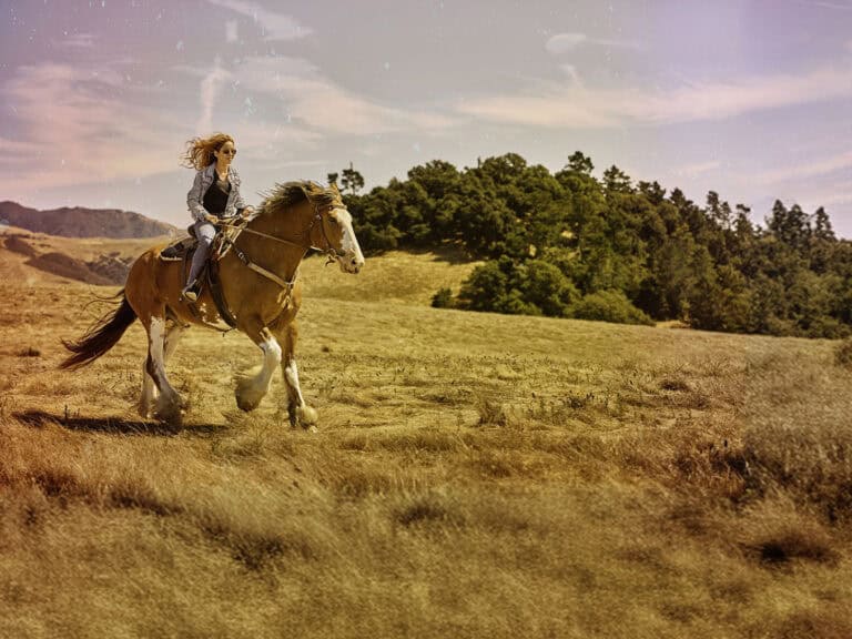 HW1_HiddenSecrets_Horse