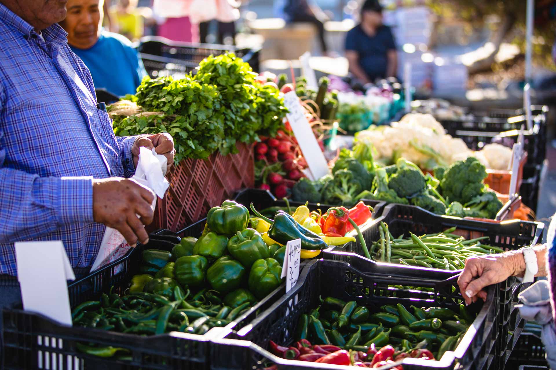 Farmers market, Avila Beach