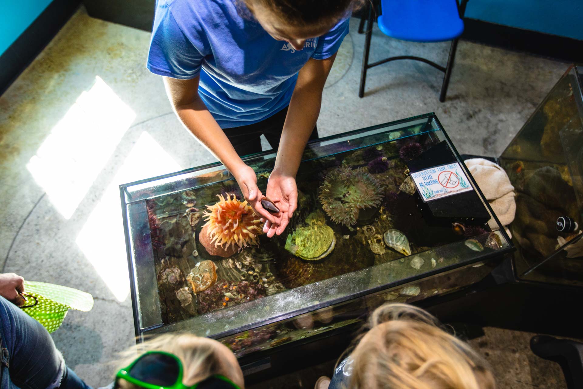 Central Coast Aquarium, Avila Beach