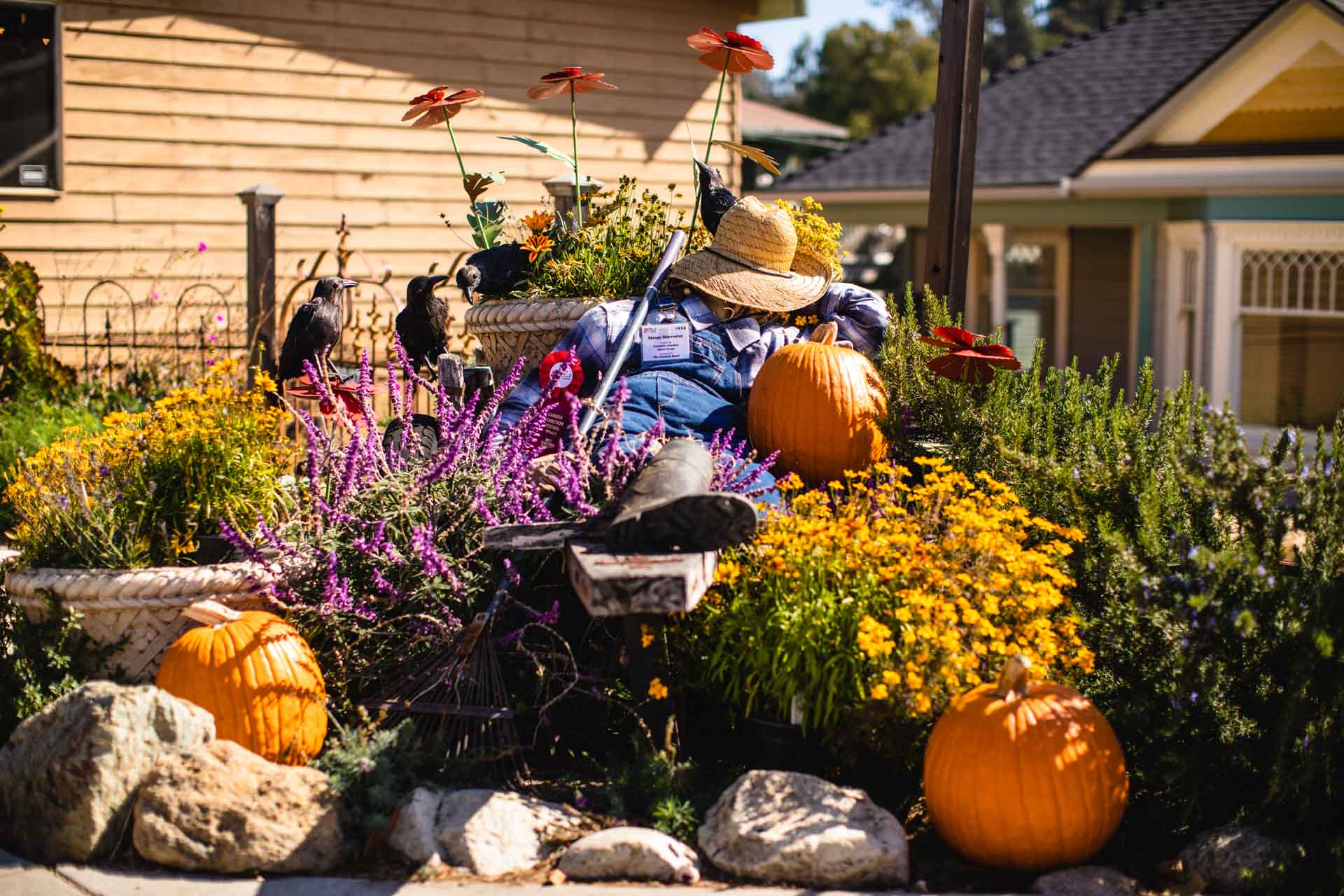 Cambria Scarecrow Festival