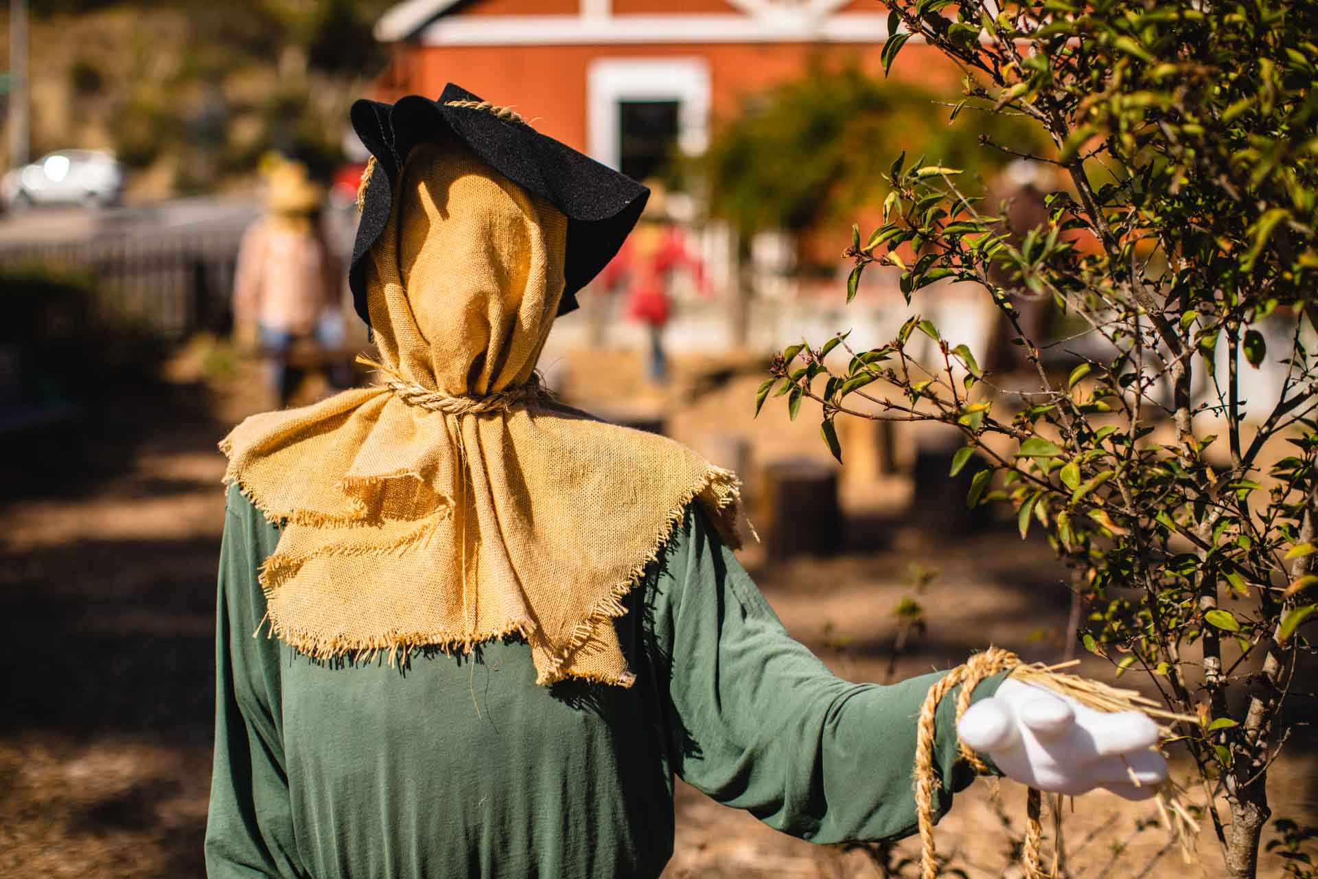 Cambria Scarecrow Festival