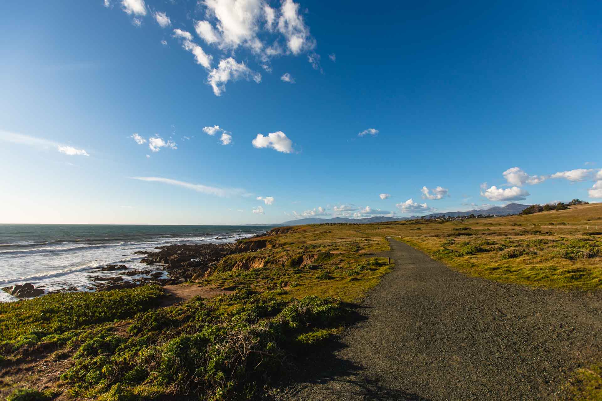 Fiscalini Ranch Preserve, Cambria