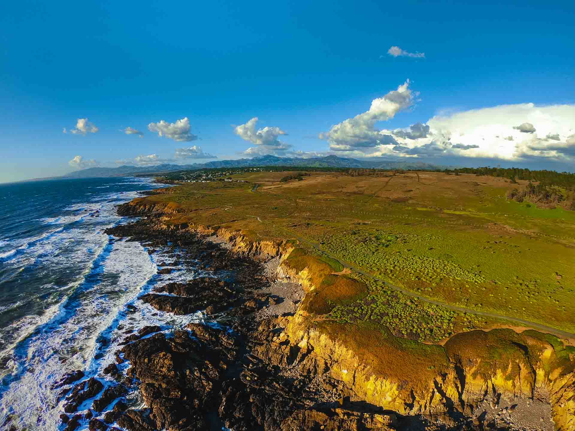 Fiscalini Ranch Preserve, Cambria