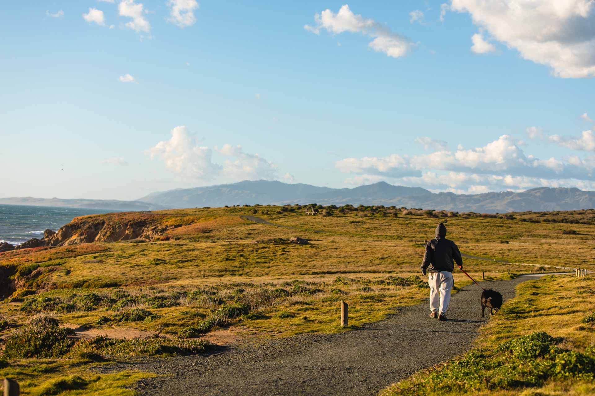 Fiscalini Ranch Preserve, Cambria